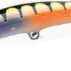 Nils Master Invincible 12cm 24g -Günstiges Rapala Geschäft 03202502r 1