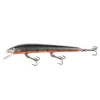 Nils Master Invincible Pro 18cm 40g -Günstiges Rapala Geschäft 03202504P01r 1