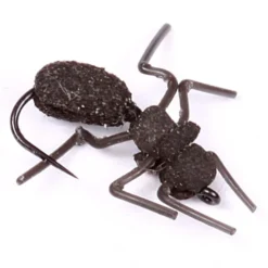 Ant Misbehavin' Logan'S - 12