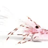 Leoshrimp Pink #6 -Günstiges Rapala Geschäft 101619GL 1