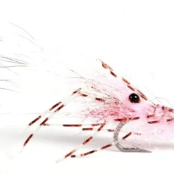 Leoshrimp Pink #6