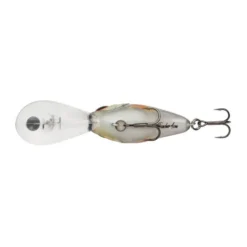 Berkley DEX Trencher -Günstiges Rapala Geschäft 1572657r 3