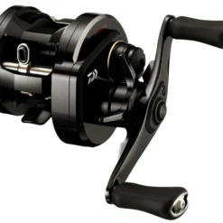 Daiwa 18 Ryoga 1520HL (Links)