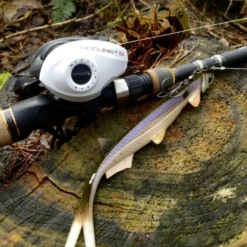 Quantum Accurist Baitcast AT101 HPT -Günstiges Rapala Geschäft 22 570101 6