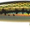 Strike Pro Strike Floating 10,5cm 11g -Günstiges Rapala Geschäft 29 JL092r 1