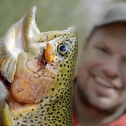 Magic Trout Hustle And Bustle Lake 2,7cm, 1,1g -Günstiges Rapala Geschäft 3501101r 3