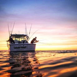 Humminbird One-Boat Network Cannon Optimum Solix -Günstiges Rapala Geschäft CN2OP S12r 5