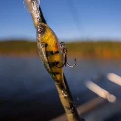 Headbanger Cranky Shad -Günstiges Rapala Geschäft CS 25 SS BKr 2