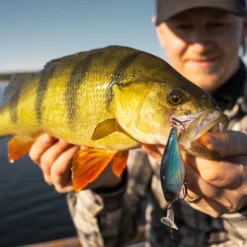 Headbanger Cranky Shad -Günstiges Rapala Geschäft CS 25 SS BKr 4