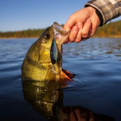 Headbanger Cranky Shad -Günstiges Rapala Geschäft CS 25 SS BKr 5