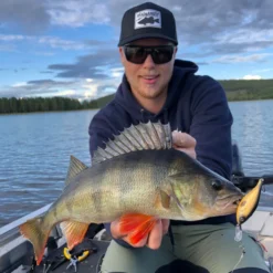 Headbanger Cranky Shad -Günstiges Rapala Geschäft CS 25 SS BKr 6