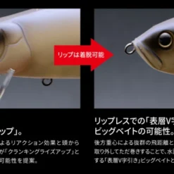 Fish Arrow Riser Jack -Günstiges Rapala Geschäft FA 4573251345153r 4