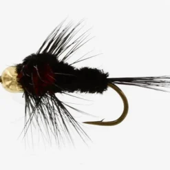 Montana Goldhead Red