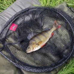 Fox Rage Street Fighter Carbon Street Net 2.4m -Günstiges Rapala Geschäft NLN014 5