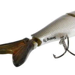 Westin Ricky The Roach Swimbait W. Lip 8cm 7g Sinking 9 Westin Ricky The Roach Swimbait W. Lip 8cm 7g Sinking -Günstiges Rapala Geschäft P032 551 007r 4