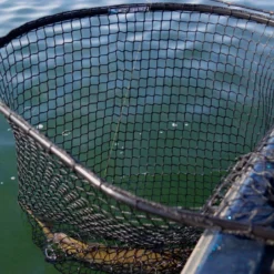 Drifter Tackle Predator Net 48 Black Handle -Günstiges Rapala Geschäft PR40XXL BKr 5