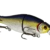 Ricky The Roach (HL/MJ) 80 Mm 7 G -Günstiges Rapala Geschäft WS08512r 1