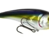 RawBite 11cm 27g Low Floating -Günstiges Rapala Geschäft WS14112r 1