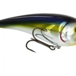 RawBite 11cm 27g Low Floating -Günstiges Rapala Geschäft WS14112r 4